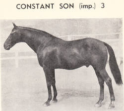 Constant Son