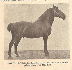 MartinMartin