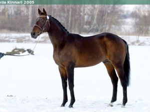 Total 40+ imagen french buffet stallion