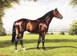 NearcoNearco-RS ReevesRichard Stone Reeves