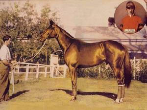 Phar LapPhar Lap