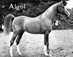 Algol