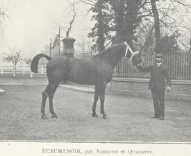 BeaumanoirBeaumanoir