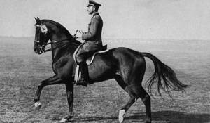 GimpelGerman Trainer Captain Viebig of the Hanover Cavalry School riding the East Prussian 'Gimpel' who won a gold medal in the 1936 Berlin Olympics, Team Dressage, ridden by Hermann von Oppein-Bronikowski.