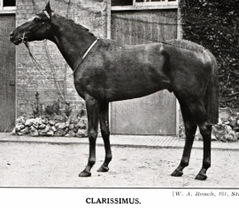 ClarissimusClarissimus pictured in workW A Rouch