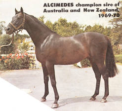 AlcimedesAlcimedes