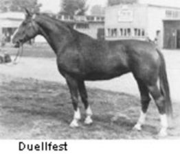 DuellfestDuellfest