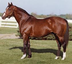 Northern DancerNorthern Dancer