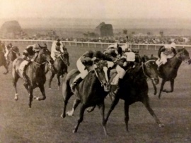 ROSE PRINCE - winning The Cesarewitch. 2nd TERESINA