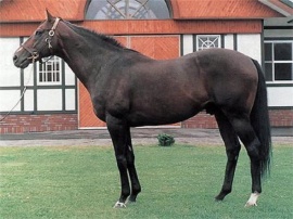 Dancing BraveDANCING BRAVE