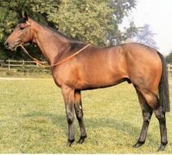 Mill ReefMill Reef