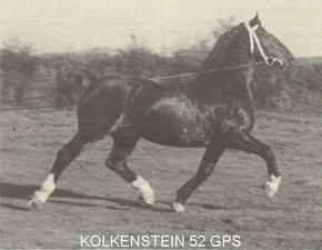 Kolkenstein