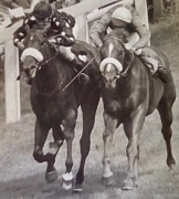 Stilvi John Gorton (right) bts Deep Diver Lester Piggott King George Stakes G3 5f Goodwood 1972