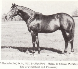 Blenheim Blenheim pictured at studnone given
