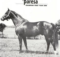 Paresa