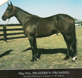 Prayers'N PromisesPrayers&#039;N Promises pictured prior KeeNov &#039;83 salenone given