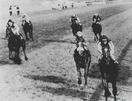 Sporting YankeeSporting Yankee Pat Eddery bts Sultans Ruby Ernie Johnson Orchestra R.Carroll Valinski Lester Piggott Juge De Paix Philip Paquet &amp; Atwood BrianTaylor Observer Gold Cup 