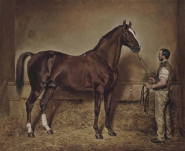 Lord Exeter's stallion Stockwell held by his groom in a loose box , 1867 Artnet
