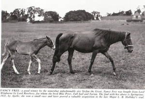 Fancy FreeFancy Free with her 1932 Apelle filly named Springtime