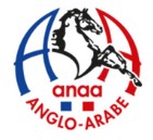 Anglo Arab