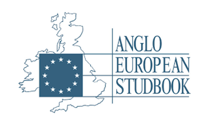 Anglo European Studbook