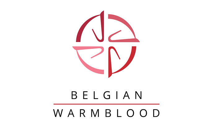 Belgian Warmblood (BWP)