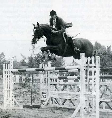 Remember The Thoroughbred Option - Sixteen Special Thoroughbreds & Riders That Jump