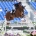 Billy Buckingham at the World Equestrian Games Tyron USA