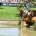 Burghley and now Gatcombe latest Horse Trials cancelled