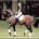  Caprimond: The Stallion That Revolutionized Modern Breeding and Dressage