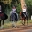 New ‘stepping stone’ endurance riding level introduced in US
