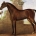 Findings challenge long-held assumptions about the Arabian horse