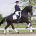 The stallion Hofrat is an elite in Trakehner breeding.