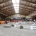 Studio program KWPN stallion approval announced