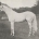 Use The Power Of Siblings When Planning Your Breedings