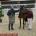 Eleven show jumping stallions licensed at the South German Stallion Days 2021, Champion by. Eldorado