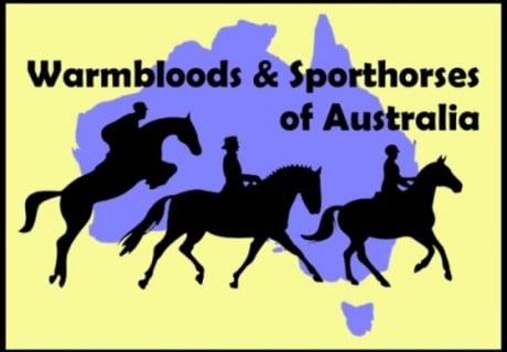 Warmbloods & Sporthorses of Australia