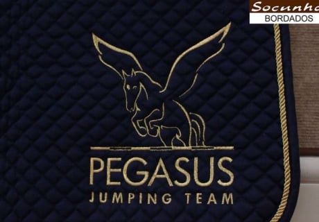 Pegasus Jumping Team