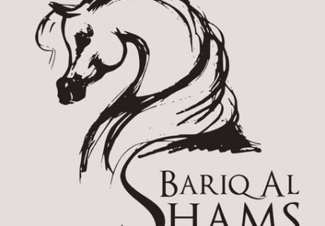 Bariq AL Shams Arabian Stud