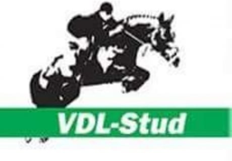 VDL Stud