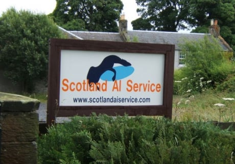 Scotland AI Service