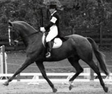 Keen xx another Dressage Star from the past Olympic/World Championships