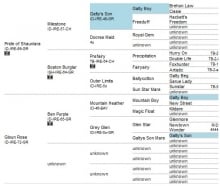 Great Broodmares: Shauna Pedigree Chart